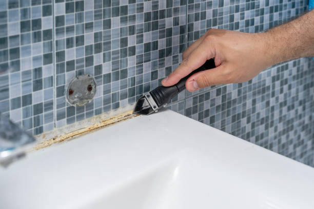 Best Mold Remediation for Specific Building Types in Hideaway, TX
